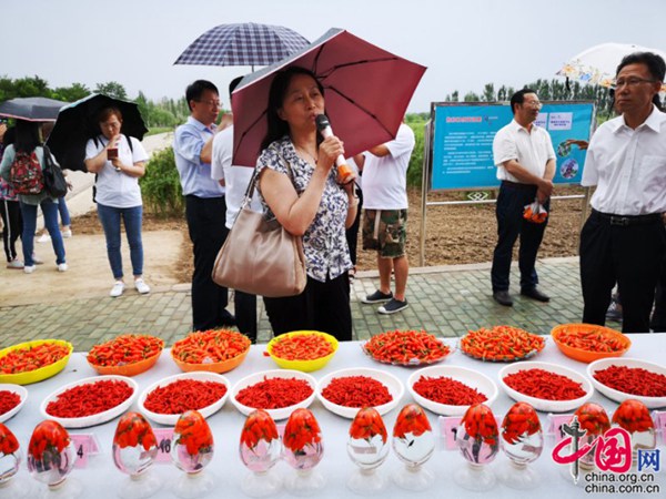 图片20.jpg